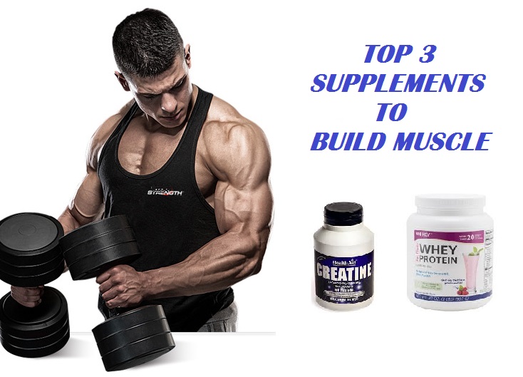 best supplements for muscle gain and strength